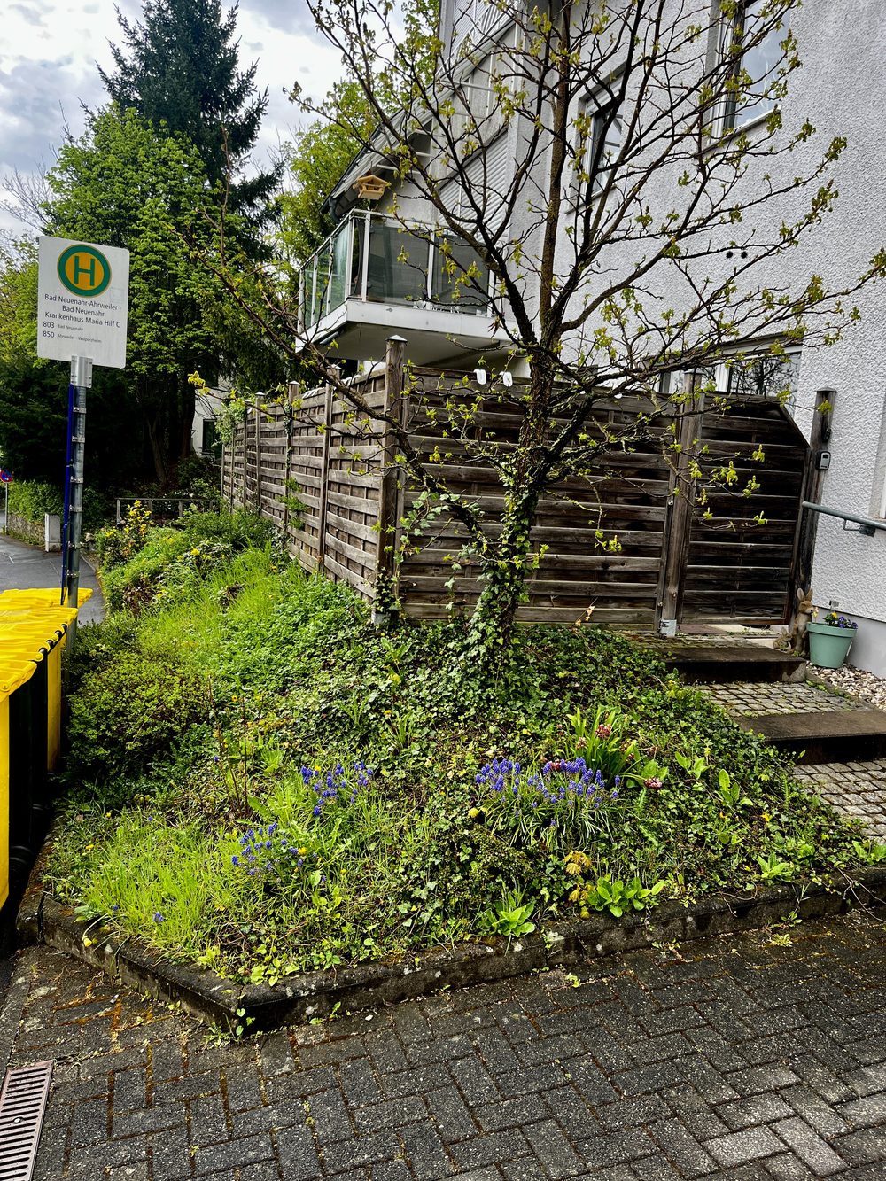 Verwildertes Beet mit Unkraut vor der Gartenpflege durch EMS